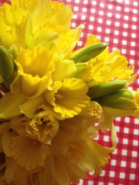 daffs